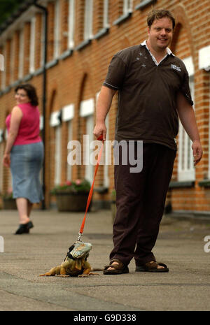 Robert Garnett, from Manningtree, Essex walks his pet Iguana, Rocky, down Manningtree, High Street, in Essex. Stock Photo