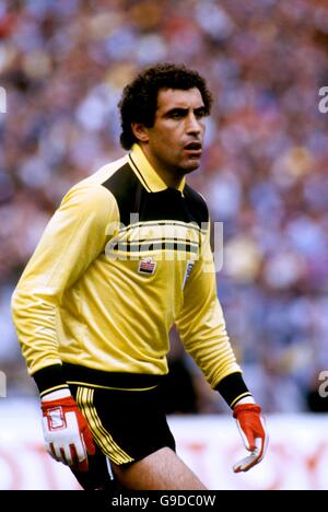 Soccer - Home International Championship - Scotland v England. Peter Shilton, England goalkeeper Stock Photo