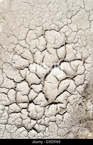 Dry mud texture of a dried riverbed due to excessive heat and drought conditions in the local environment. Stock Photo
