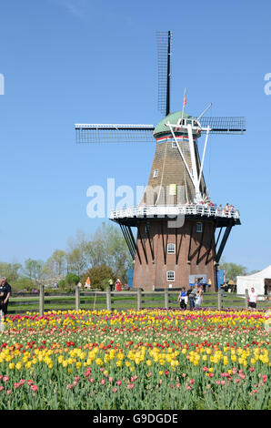 De Zwaan windmill at Windmill Island in Holland, Michigan during the tulip time festival Stock Photo