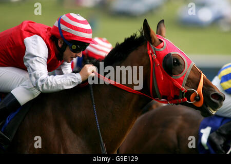 Horse Racing - Epsom Live! featuring Status Quo - Epsom Downs Racecourse. Action from Epsom Downs racecourse Stock Photo