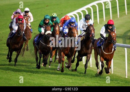 Horse Racing - Epsom Live! featuring Status Quo - Epsom Downs Racecourse. Action from Epsom Downs racecourse Stock Photo