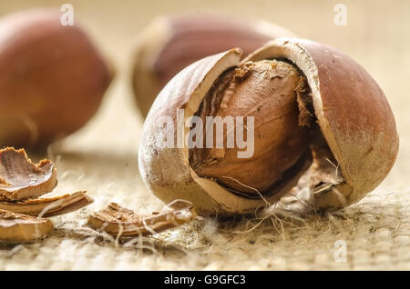 Cracked hazelnuts extreme closeup on the bagging Stock Photo