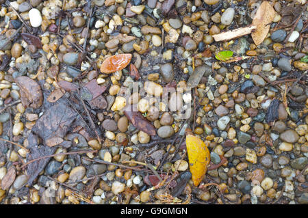 Gravel and pebble in mixed colour Stock Photo