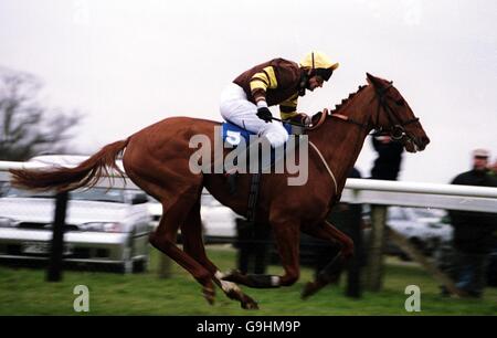 Horse Racing, from Plumpton Stock Photo
