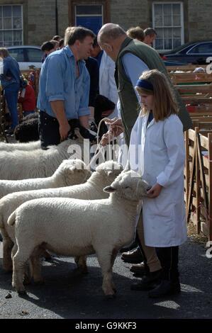 Masham Sheep Fair Stock Photo