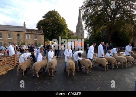 Masham Sheep Fair. Entrants at the Masham Sheep Fair, North Yorkshire. Stock Photo