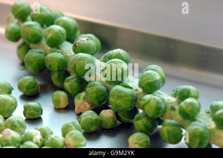 Bid to break Brussel sprout eating World record Stock Photo