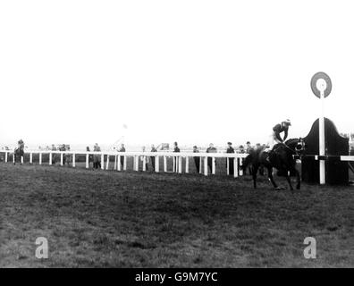 100/1 shot Foinavon ridden by John Buckingham and owned by Cyril Watkins wins the Grand National Stock Photo