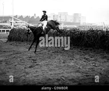 Horse Racing - 1967 Grand National - Aintree Stock Photo