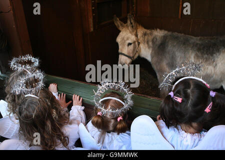 Children from St. Joseph's Nursery in Maryland, Dublin look at a donkey in the live animal crib at Mansion House in Dublin. Stock Photo