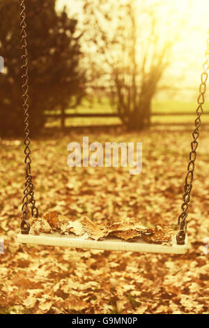 Empty swing with leaves in the autumn season with sunlight Stock Photo