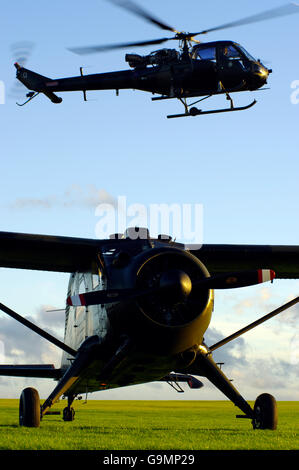 Westland Scout XT626 and DHC Beaver XP820, Middle Wallop Stock Photo