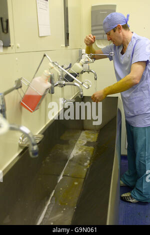 Consultant Surgeon Andrew Miles scrubs up before performing a Laparoscopic Anterior Resection on a patient at the Royal Hampshire County Hospital in Winchester, Hampshire. Stock Photo