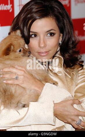 Desparate Housewives actress Eva Longoria opening the Harrods January Sale in Knightsbridge, west London. Stock Photo