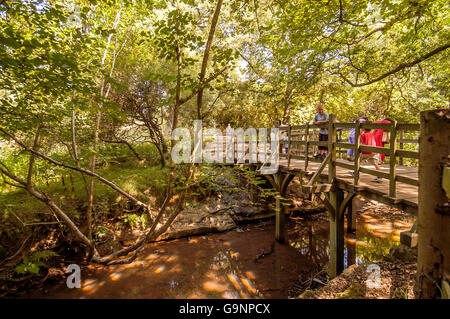 Children playing Pooh Sticks on Pooh Bridge in Ashdown Forest. Stock Photo