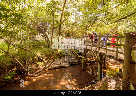 Children playing Pooh Sticks on Pooh Bridge in Ashdown Forest. Stock Photo