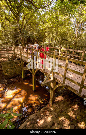 Children playing Pooh Sticks on Pooh Bridge in Ashdown Forest. Stock Photo