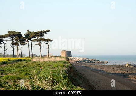 Effects of coastal erosion, East Lane, Bawdsey, Suffolk, UK. Stock Photo