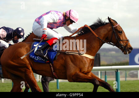 Voy Por Ustedes ridden by Robert Thornton on his way to victory in the Seasons Holidays Queen Mother Champion Chase (Grade 1) Stock Photo