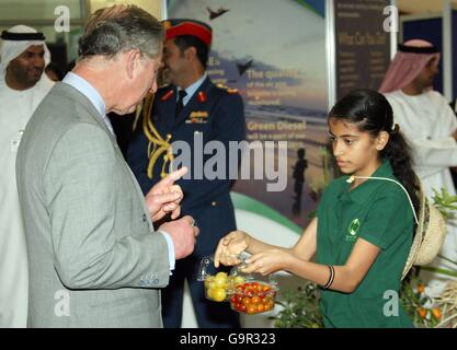 Prince Charles visits the British Council Climate Change Exhibition at the British School Al Khubairat, Abu Dhabi. Stock Photo