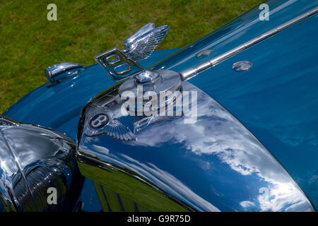 Badge and mascot on the front of a blue Bentley Stock Photo