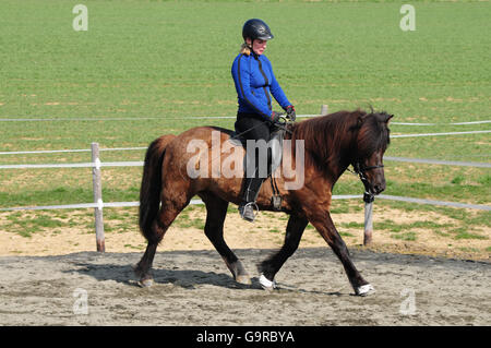 Rider with Icelandic Horse Stock Photo
