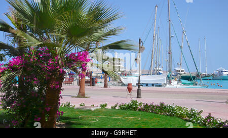 New Marina, Marina Boulevard, yacht harbour, Hurghada, Egypt Stock Photo