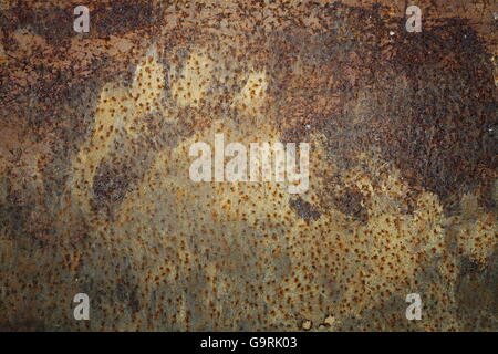 traces left by brown bear on rusty metal door ( Ursus arctos ) Stock Photo