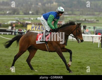 Vodka Bleu ridden by timmy Murphy going to post in the Racing Post Plate Handicap Chase (Grade 3) Stock Photo
