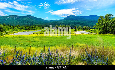 The Nicola River winding through the green valley and farmlands near Merritt in British Columbia, Canada Stock Photo