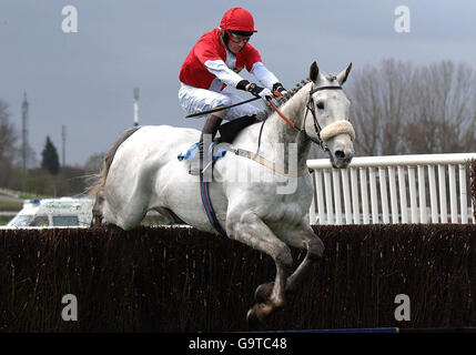 Horse Racing - Wetherby Racecourse. Arctic Ghost and jockey Wilson Renwick win the Christa Ackroyd Launches Yorkshire Ladies Days 2007 Chase at Wetherby Racecourse. Stock Photo