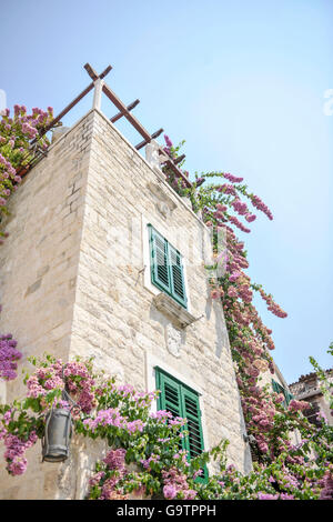 House with flowers, Split, Croatia summer 2015 Stock Photo