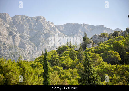 View of the mountain slope and nearby woods. Vepric sanctuary in Makarska. Croatia summer 2015 Stock Photo