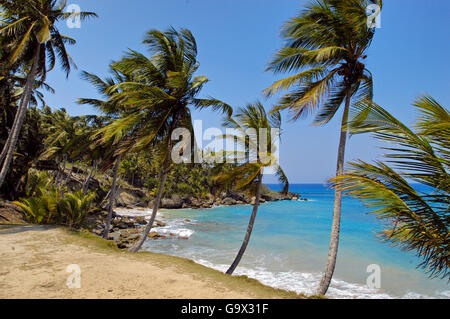 beach, north coast, island of Hispaniola, Sosua, Dominican Republic, Caribbean, America Stock Photo