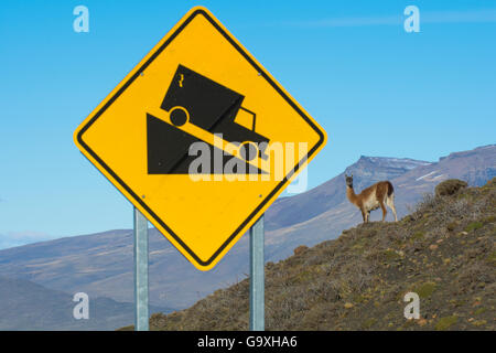 Guanacos (Lama Guanicoe) next to a steep slope warning sign, Torres del Paine National Park, Chile Stock Photo