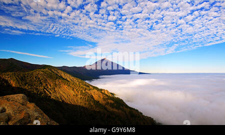 Pico del Teide at sunrise over trade wind clouds, Teide National Park, Tenerife, Canary Islands, Spain Stock Photo