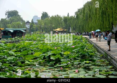 Jinan, China's Shandong Province. 2nd July, 2016. Tourists view lotus flowers in Daming Lake in Jinan, capital of east China's Shandong Province, July 2, 2016. © Zhu Zheng/Xinhua/Alamy Live News Stock Photo