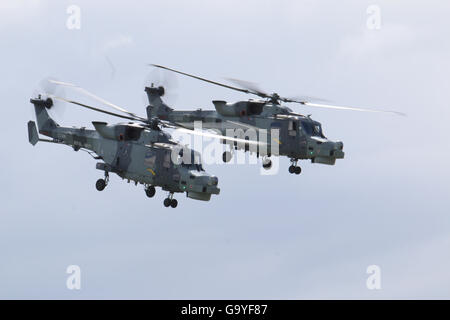 RNAS Yeovilton, Somerset, UK. 2nd July, 2016. Yeovilton Based Black Cats Helicopter Display team flying a pair of the Royal Navy's New Wildcat BRH helicopters Credit:  David Billinge/Alamy Live News Stock Photo