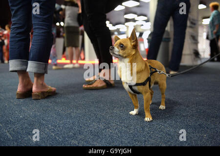 Karlovy Vary, Czech Republic. 04th July, 2016. Atmosphere during the 51st Karlovy Vary International Film Festival in Karlovy Vary, Czech Republic, July 4, 2016. © Katerina Sulova/CTK Photo/Alamy Live News Stock Photo