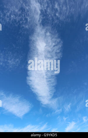 Pershore, Wick Worcestershire UK, 4th July 2016. Feather Cloud, During the hot sunny day in Pershore Wyck Farm ,Wick. Credit:  David Powell/Alamy Live News Stock Photo