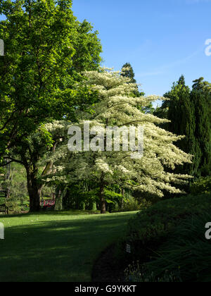 Apremont sur Allier,  Berry. Parc Floral Stock Photo