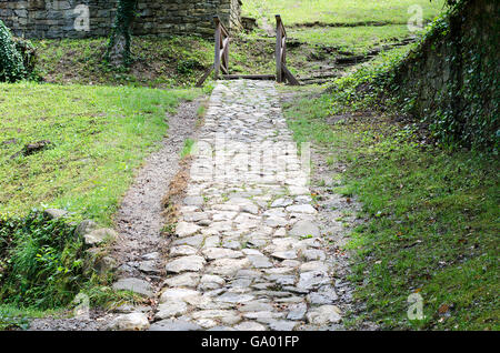 Stone walkway on a grassy field Stock Photo