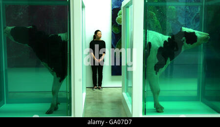 Work by Damien Hirst at the opening of his exhibition at White Cube Mason's Yard in London. Stock Photo