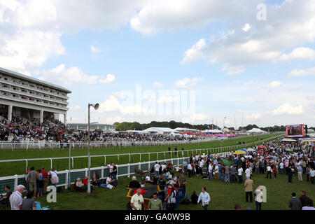 Horse Racing - Vodafone Ladies Day - Epsom Downs Racecourse. Racegoers soak up the atmosphere at Epsom on Ladies Day Stock Photo