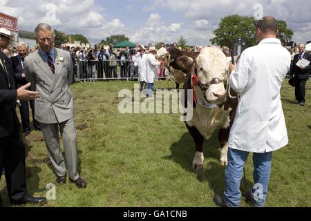 The Prince of Wales at the Three Counties Show in Malvern, Worcestershire where he watches the judging of the Hereford Bulls. Stock Photo