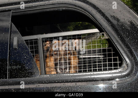 Steven Gerrard Wedding - Berkshire Stock Photo