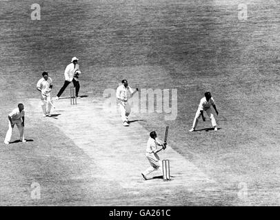Australia's Alan Davidson (bottom) hooks spectacularly off the bowling of West Indies' Wes Hall (c) Stock Photo