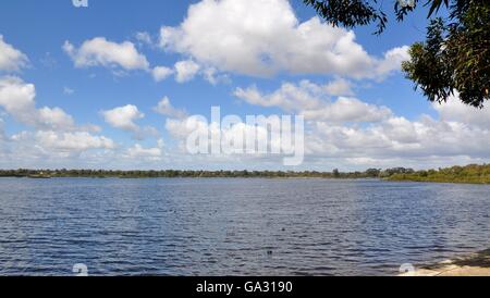 Peaceful waters at the Bibra Lake reserve, conservation wetland area, with native plants under a blue sky in Western Australia Stock Photo
