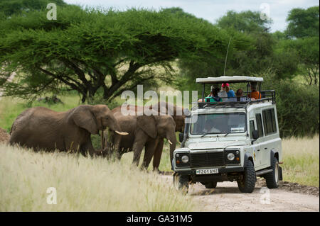 African safari vehicle Tanzania Tanzanian Toyota Land Cruiser roof ...